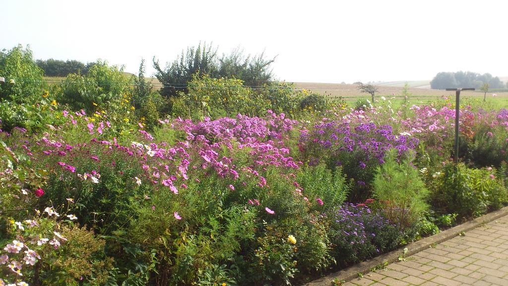 Ferienwohnungen Eichenhof Kapellen-Drusweiler المظهر الخارجي الصورة